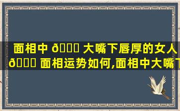 面相中 🐟 大嘴下唇厚的女人 🐝 面相运势如何,面相中大嘴下唇厚的女人面相运势如何看